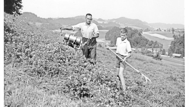 Nicht wenige der Kinder gewannen bei der Arbeit einen Teil ihres Selbstwertgefühls, ihrer sozialen Kompetenzen und auch handwerkliche Fähigkeiten.