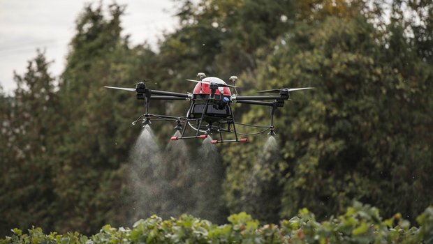 Seit diesem Jahr sind in der Schweiz Sprühflüge mit Drohnen zugelassen. Sie versprühen Pflanzenschutzmittel mit weniger Abdrift. (Agrofly) 
