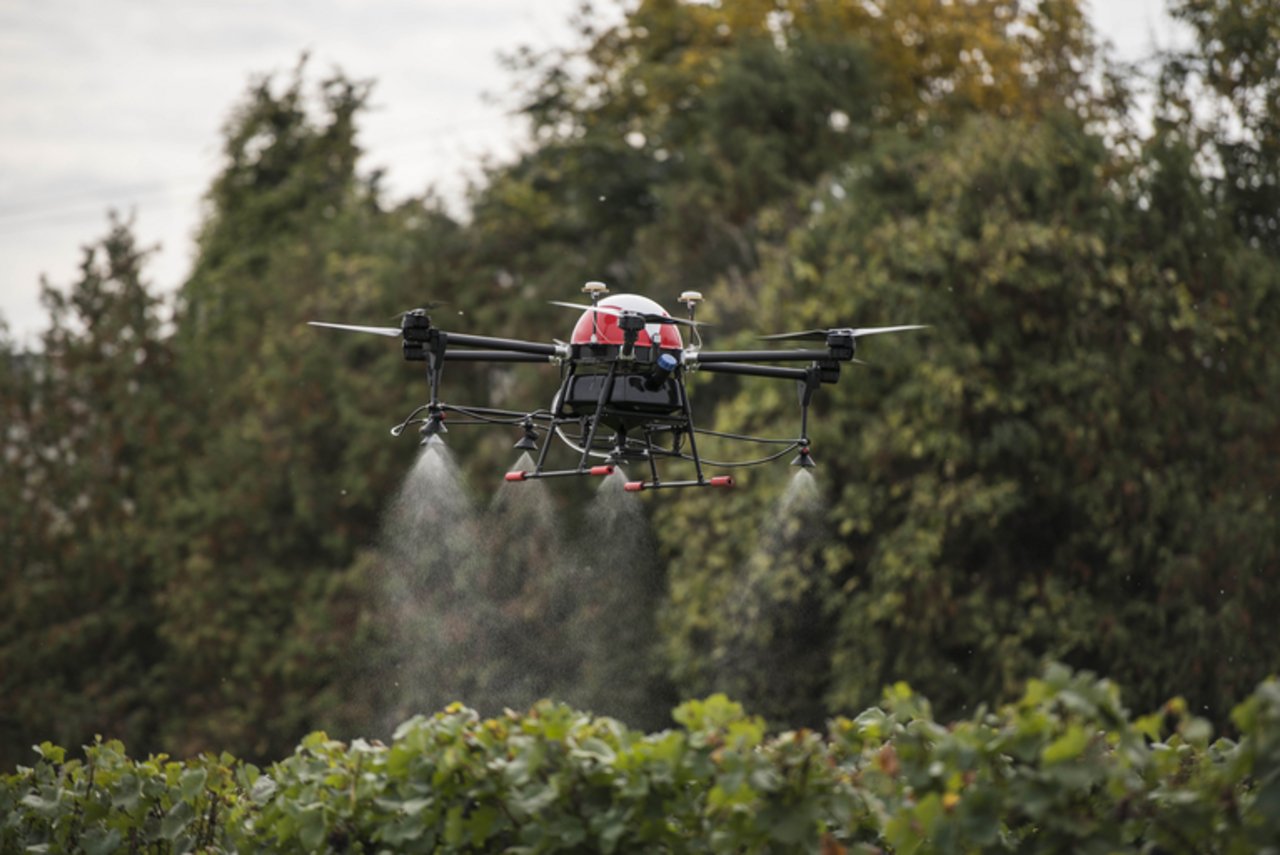 Seit diesem Jahr sind in der Schweiz Sprühflüge mit Drohnen zugelassen. Sie versprühen Pflanzenschutzmittel mit weniger Abdrift. (Agrofly) 