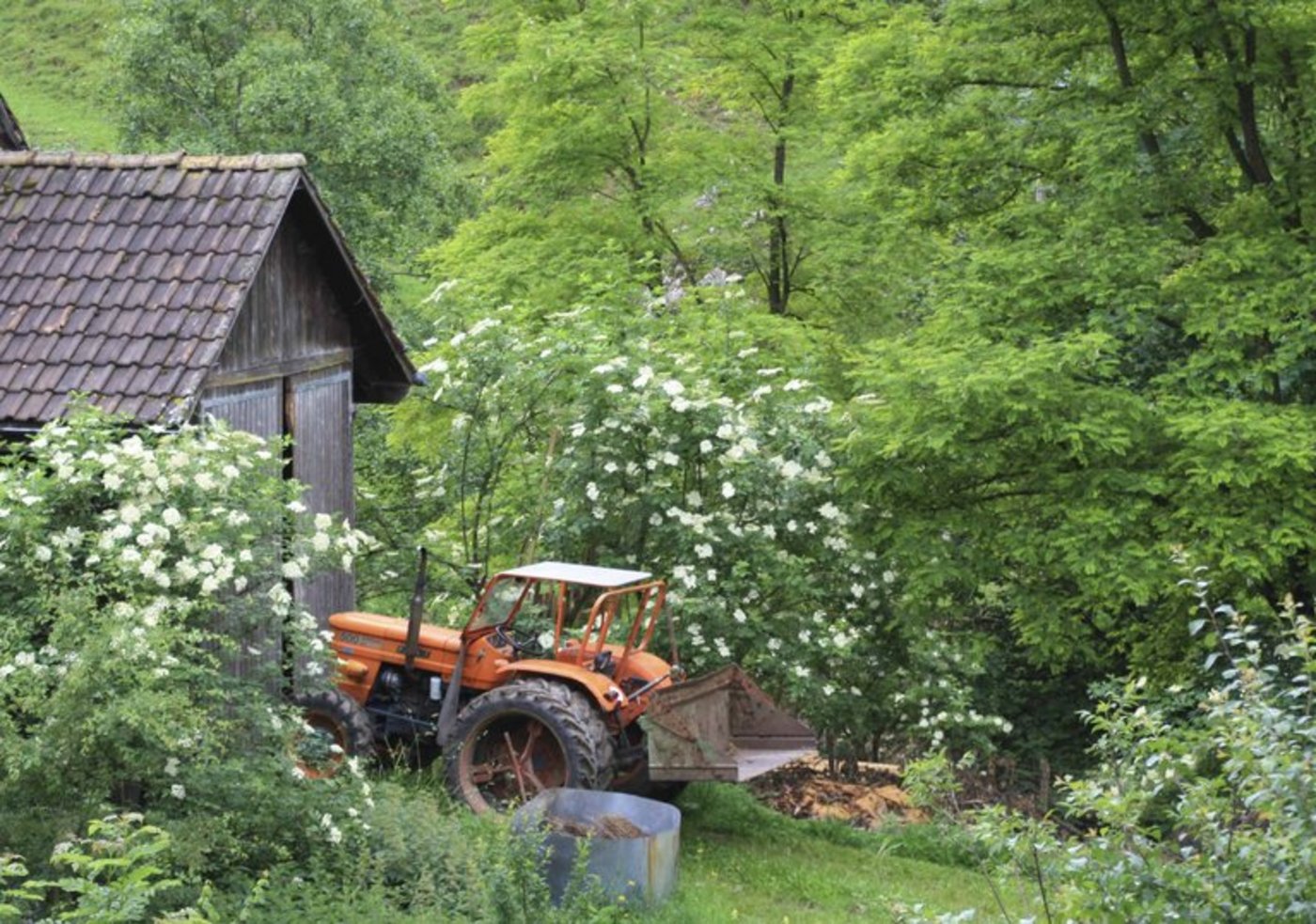 Die Autonomie bei der Instandhaltung eines Traktors ist ein wichtiger Kaufgrund. (Symbolbild, ji)