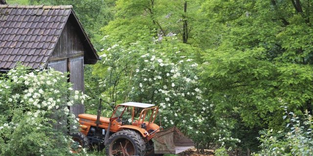 Die Autonomie bei der Instandhaltung eines Traktors ist ein wichtiger Kaufgrund. (Symbolbild, ji)