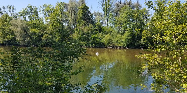 Flüsse und andere Gewässer sollen durch bestehende Massnahmen besser geschützt werden. (Bild lae)