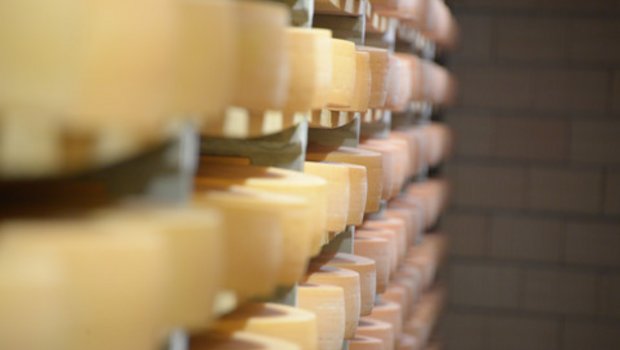 Die Käseexporte in die EU haben sich erholt. Und die Preise konnten gehalten werden. (Bild hja)