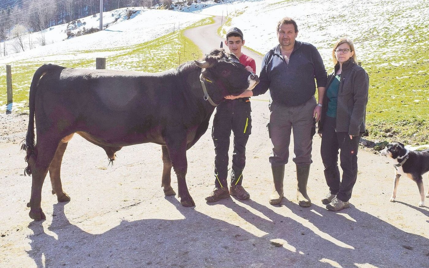 Nicola und Andreas Wälli und Sibylle Stadelmann (v. l.) mit dem 20 Monate alten Stier Ignaz.