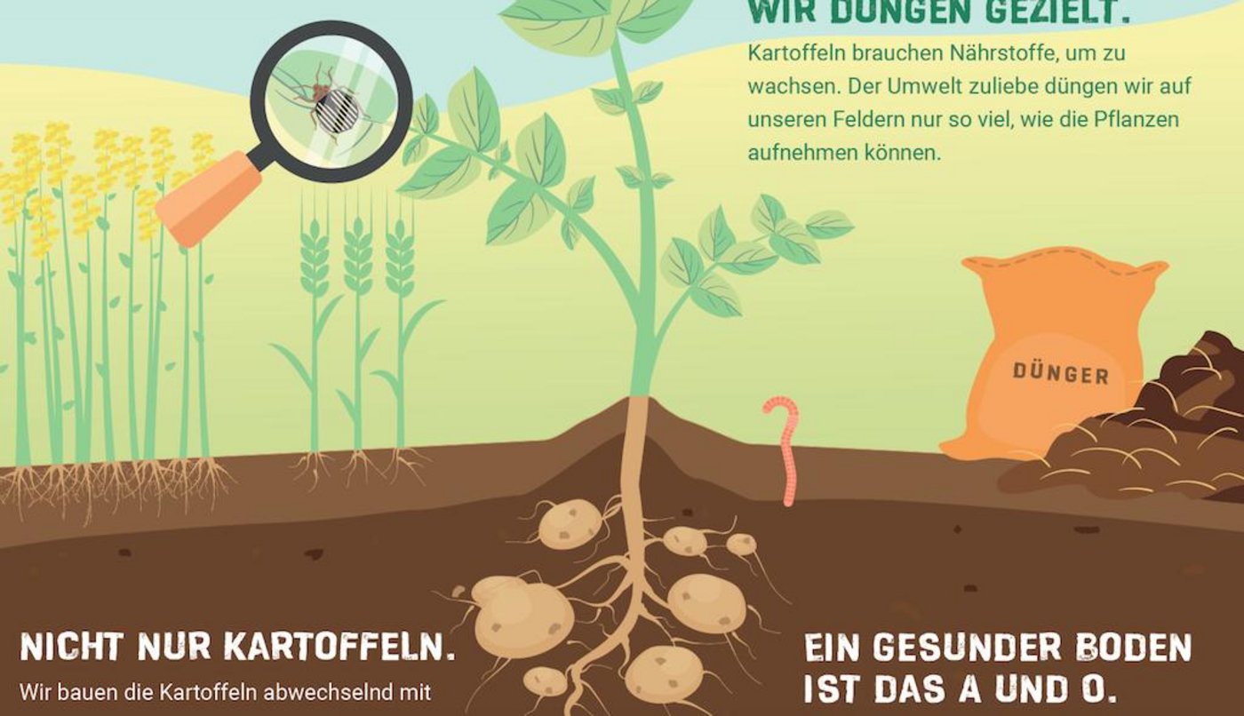 Die Tafeln sollen den Konsumenten die Kartoffel näher bringen. (Bild Swisspatat)