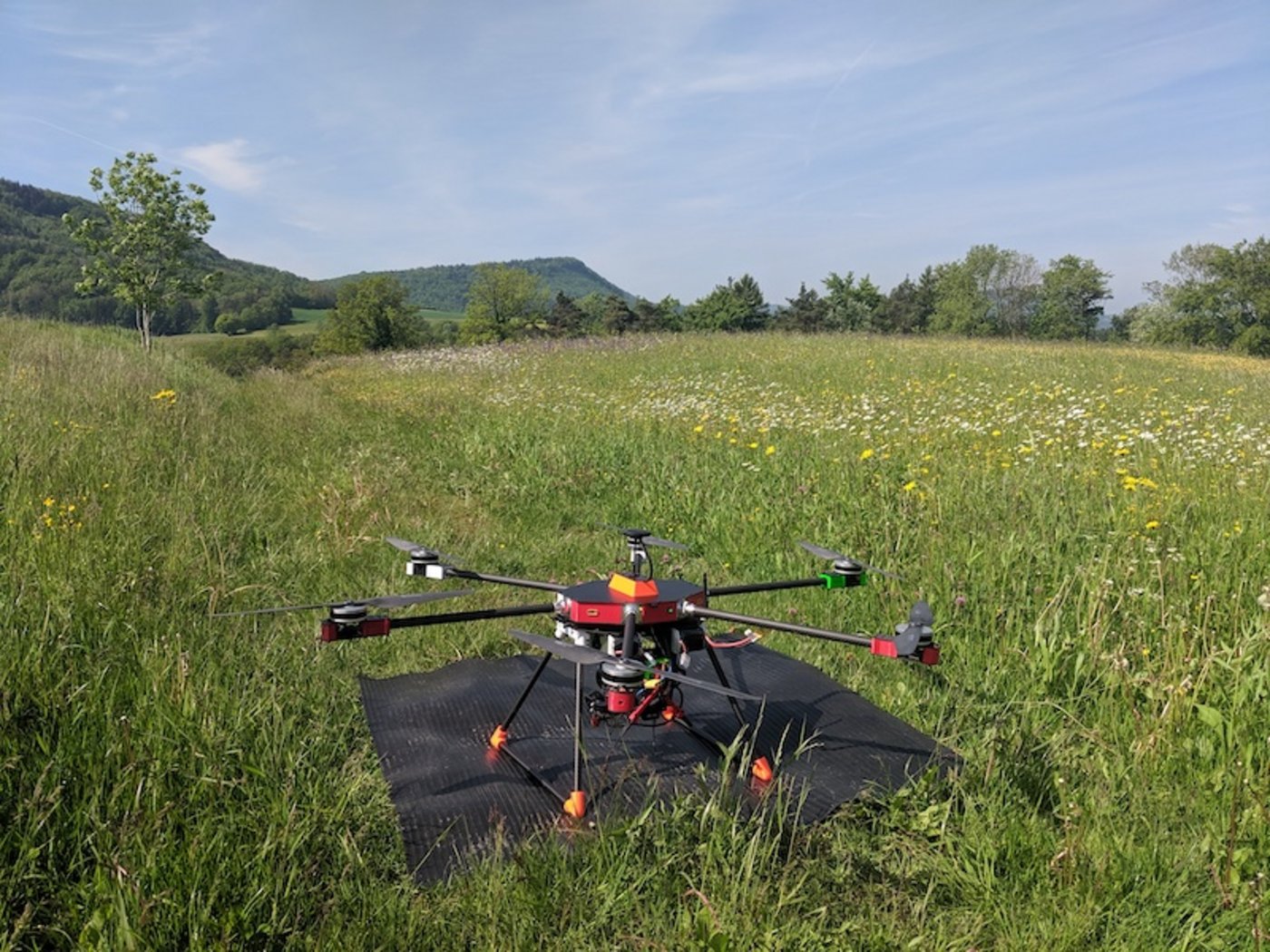Drohnen sollen Pflanzen erkennen und zählen. (Bild ETH)