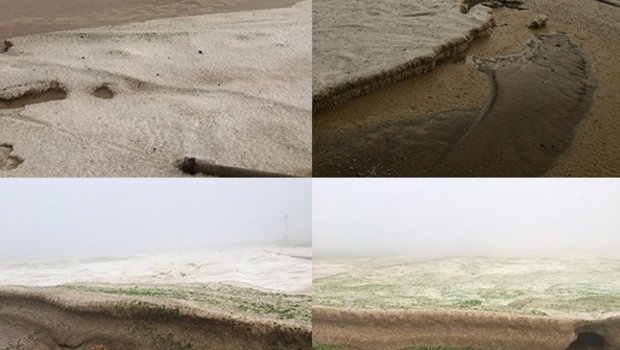 Diese Bilder zeigen die Felder von Schärer Gemüsebau in Oberweningen. (Bild David Eppenberger/Twitter)