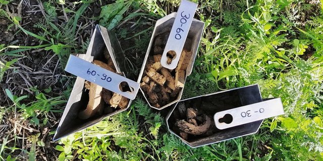 Separate Bodenproben von drei Horizonten. Wer bedarfsgerecht düngen will, muss wissen, wie viel Nmin schon im Boden vorhanden ist. Bild: bodenproben.ch