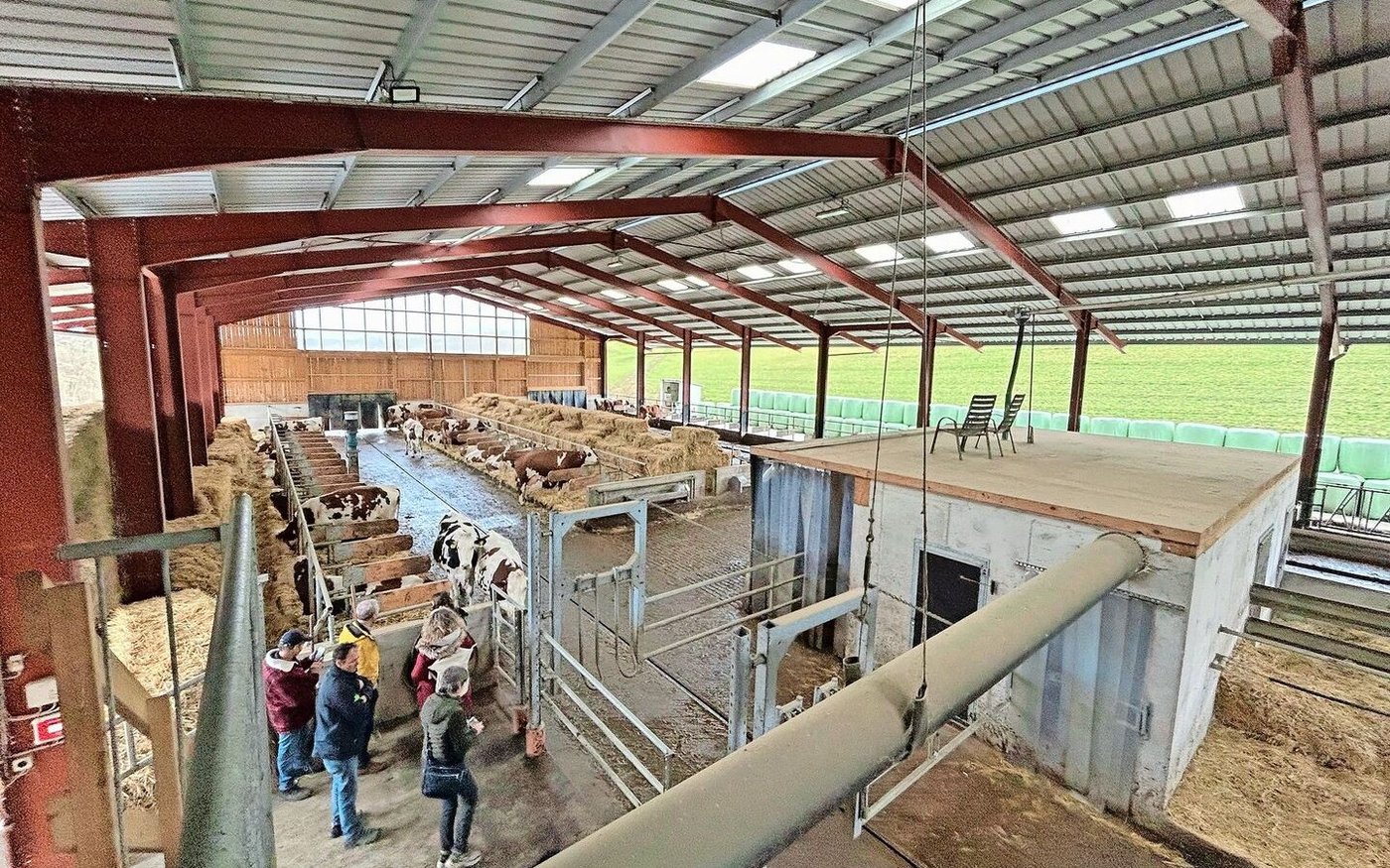 Der Stall ist rund 55 m lang und 22 m breit. Die Höhe beträgt rund 9 m. In der Stallmitte ist der Melkroboter zu sehen und hinten zwischen den Lägern das Strohlager. Die Laufgänge sind über 4 m breit.