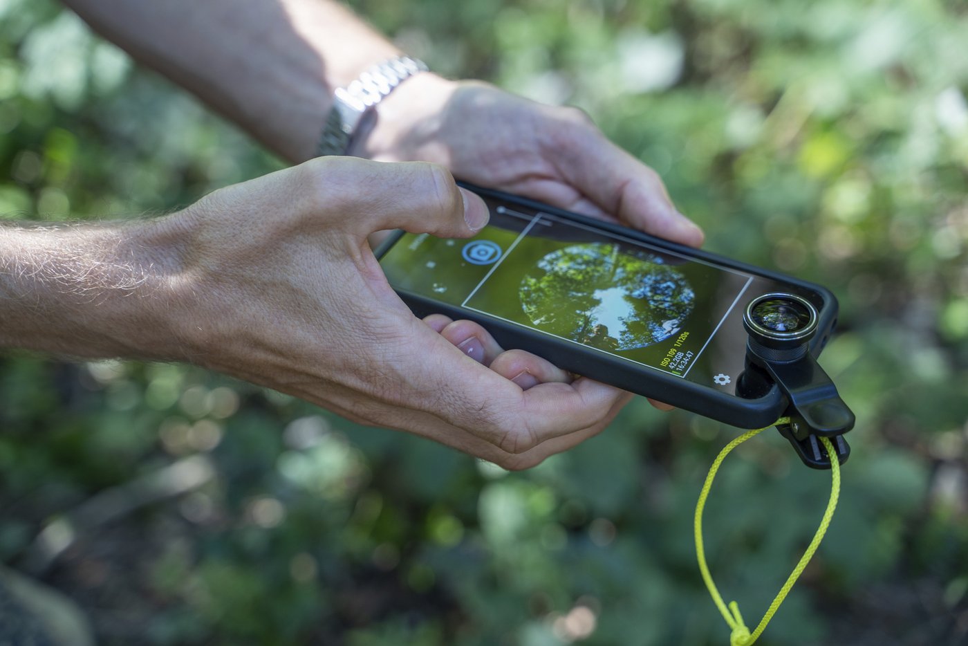 WSL-Mitarbeitende veranschaulichen mit wissenschaftlichen Messgeräten die Stockwerke des Waldes. (Bild diktum.ch)