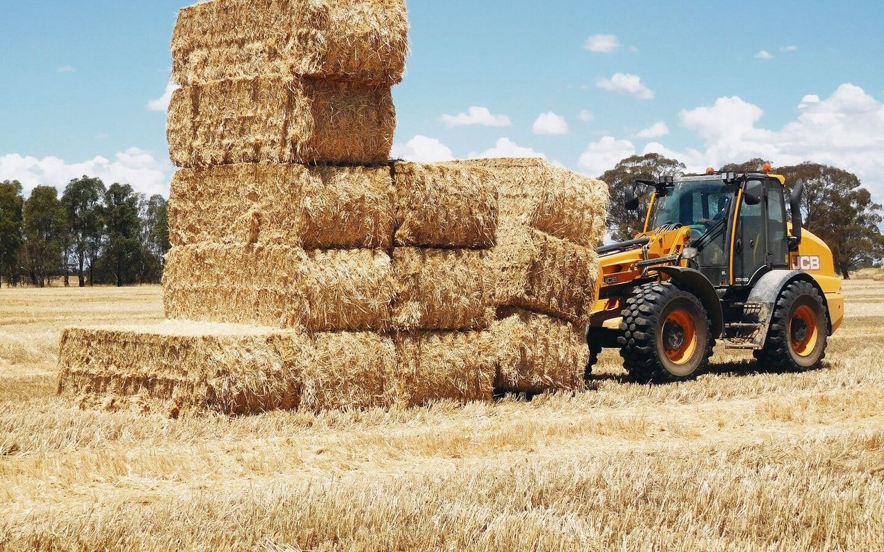 Harte Arbeit unter der australischen Sommersonne: Josy Langs Familie hat knapp 800 grosse Quaderballen pressen können, die nun für zwei Jahre als Einstreu dienen.