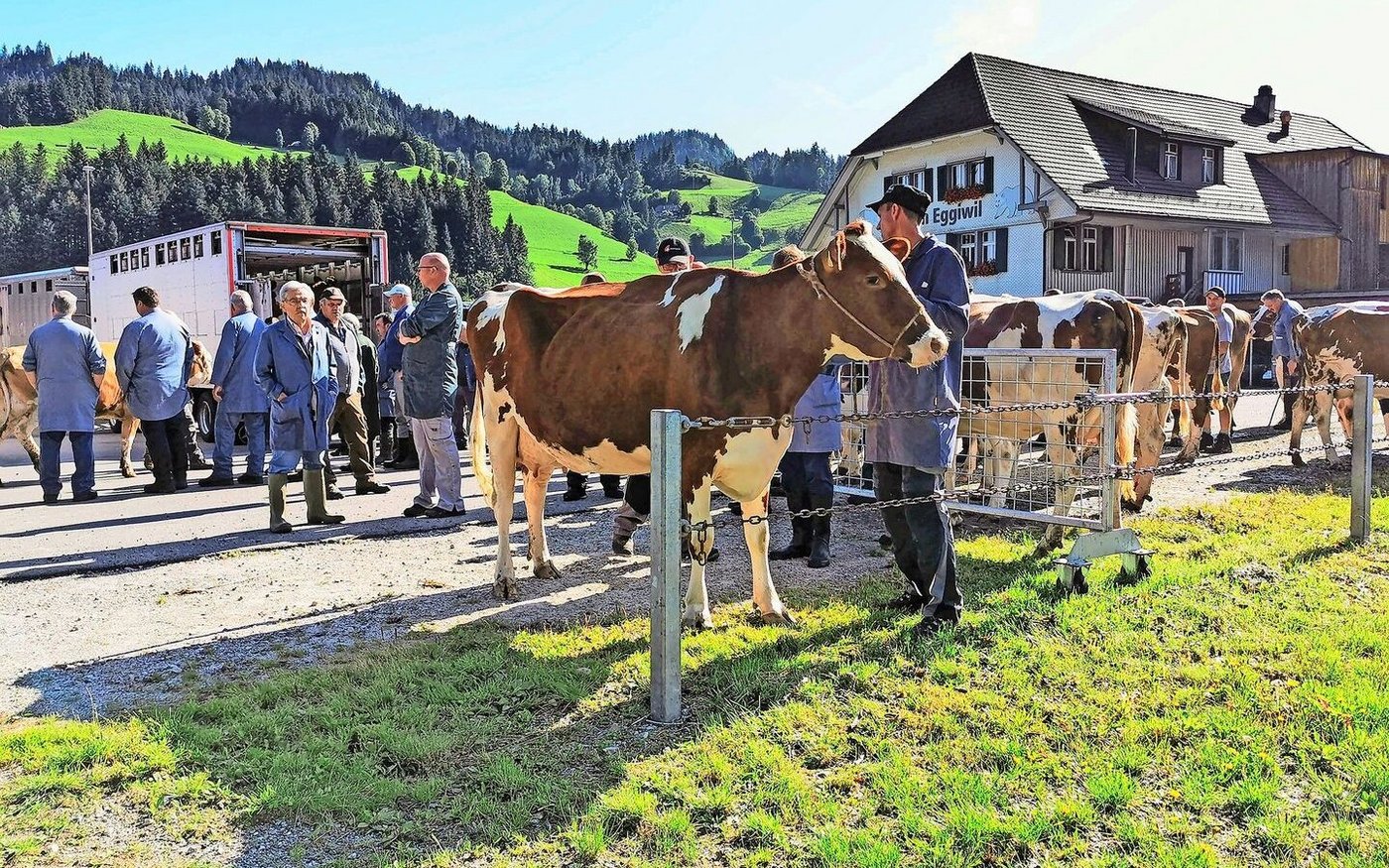 Die Auffuhren an den öffentlichen Märkten waren im vergangenen Jahr deutlich tiefer als noch 2022.