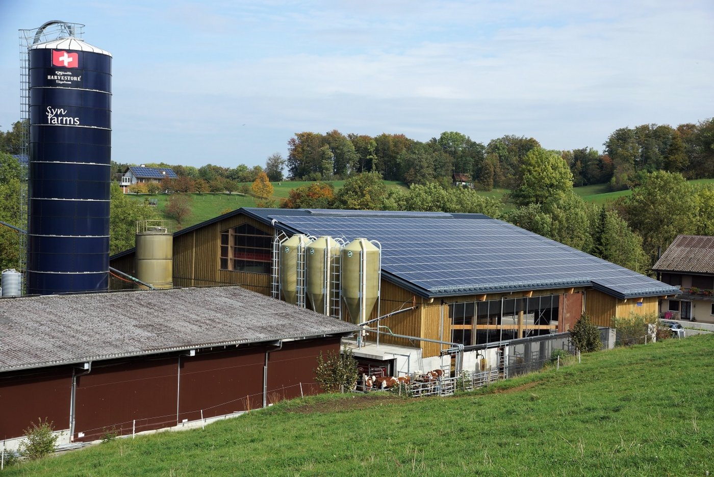 Der neue Stall: Die Zusammenarbeit mit den Behörden verlief nach dem Brand unkompliziert und so konnte rasch gebaut werden. 