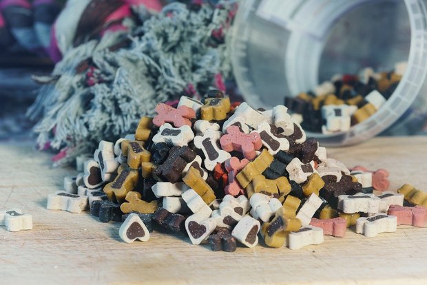 Suisse Garantie neu auch für Tierfutter, Speisefette und -öle, Gelatine und Kollagen Neu kann auch Tierfutter mit der Garantiemarke Suisse Garantie ausgezeichnet werden. (Bild Pixabay)