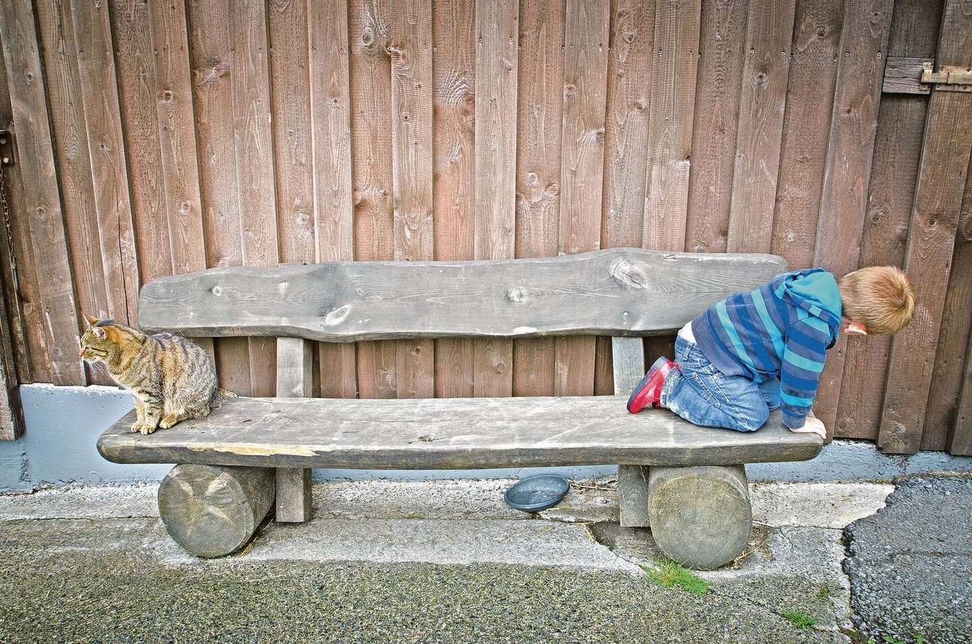 Eine Bank beim Hofladen lädt Kundinnen und Kunden dazu ein, etwas Zeit auf dem Hof zu verbringen. Gerade für Kinder gibt es auf einem Landwirtschaftsbetrieb viel zu entdecken. 