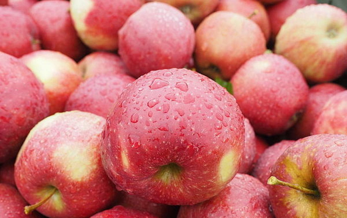 (Bild © agrar-press)