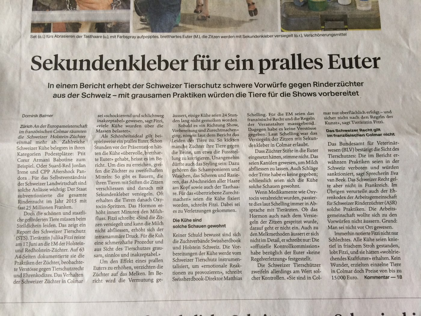 Der Hauptartikel in der "Sonntagszeitung".