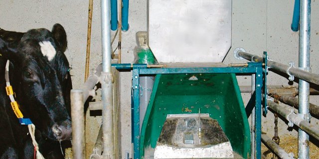 Agroscope hat den Futterzusatz von Lein- und Rapssamen auf die Reduktion der Methanemission bei Wiederkäuern untersucht.  Mit der mobilen Futterstation, dem GreenFeed-System, wurde der Ausstoss des Gases aus der Atemluft gemessen. (Bild zVg)