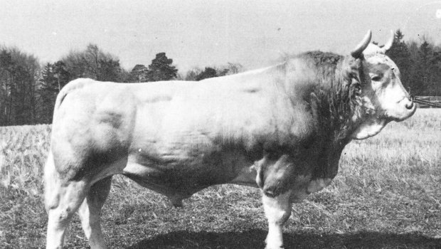 Georg Utzenstorf von Ruedi Fischer, geboren 1966, im KB-Einsatz Anfang der 70er-Jahre.