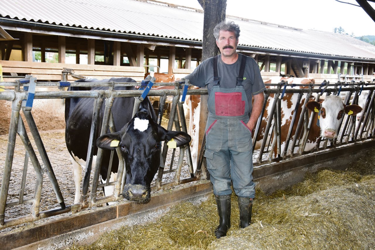Auf seinem Betrieb hält Peter Leiser 45 Holstein- und Red-Holstein-Kühe. «In ein paar Jahren habe ich nur noch Holsteinkühe», sagt der Betriebsleiter überzeugt.(Bild Peter Fankhauser)