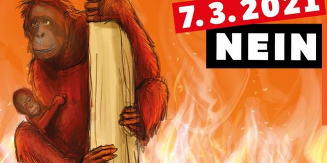 Der Verein «Stop Palmöl» besteht aus 16 Organisationen. (Screenshot/stop-palmoel.ch)