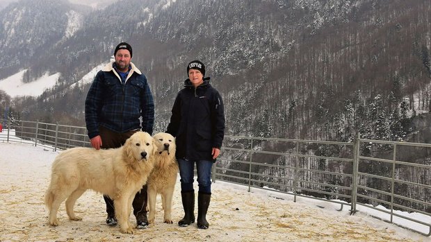 Helen und Karl Betsc Helen und Karl Betschart mit zwei ihrer Maremmen-Abruzzen-Herdenschutzhunden. Die Ausbildung dieser Tiere ist eine gemeinsame Leidenschaft des Bergbauernpaares.
