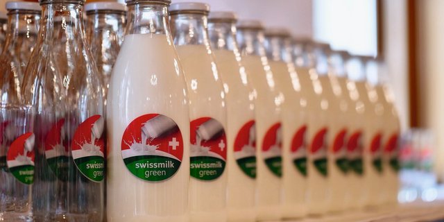 «Swissmilk Green», der Branchen-Standard für Nachhaltige Schweizer Milch. Bild: Jürg Vollmer
