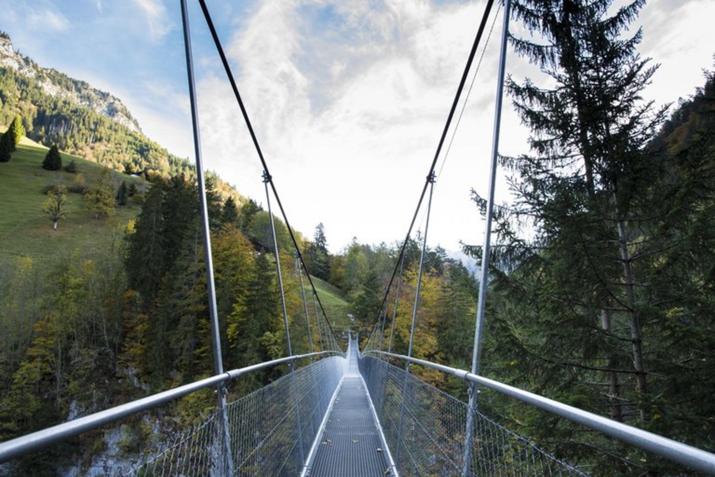 Hängebrücke Leiternweide: Eines der Projekte. (Berghilfe)
