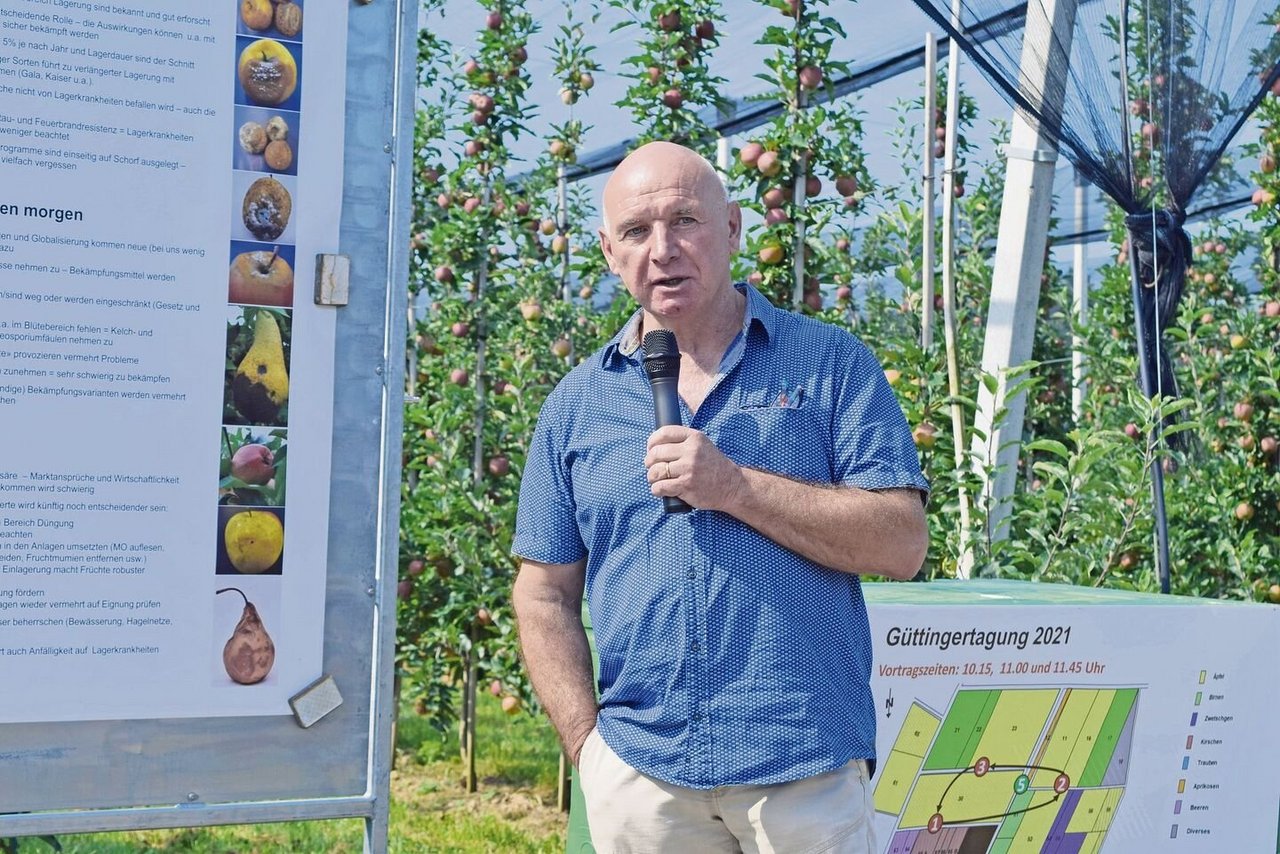 Lagerkrankheiten beschäftigen vordergründig die Händler. Die Obstbauern können aber einiges tun, um das Risiko zu senken, sagt Werner Stuber von der Tobi Seeobst AG.