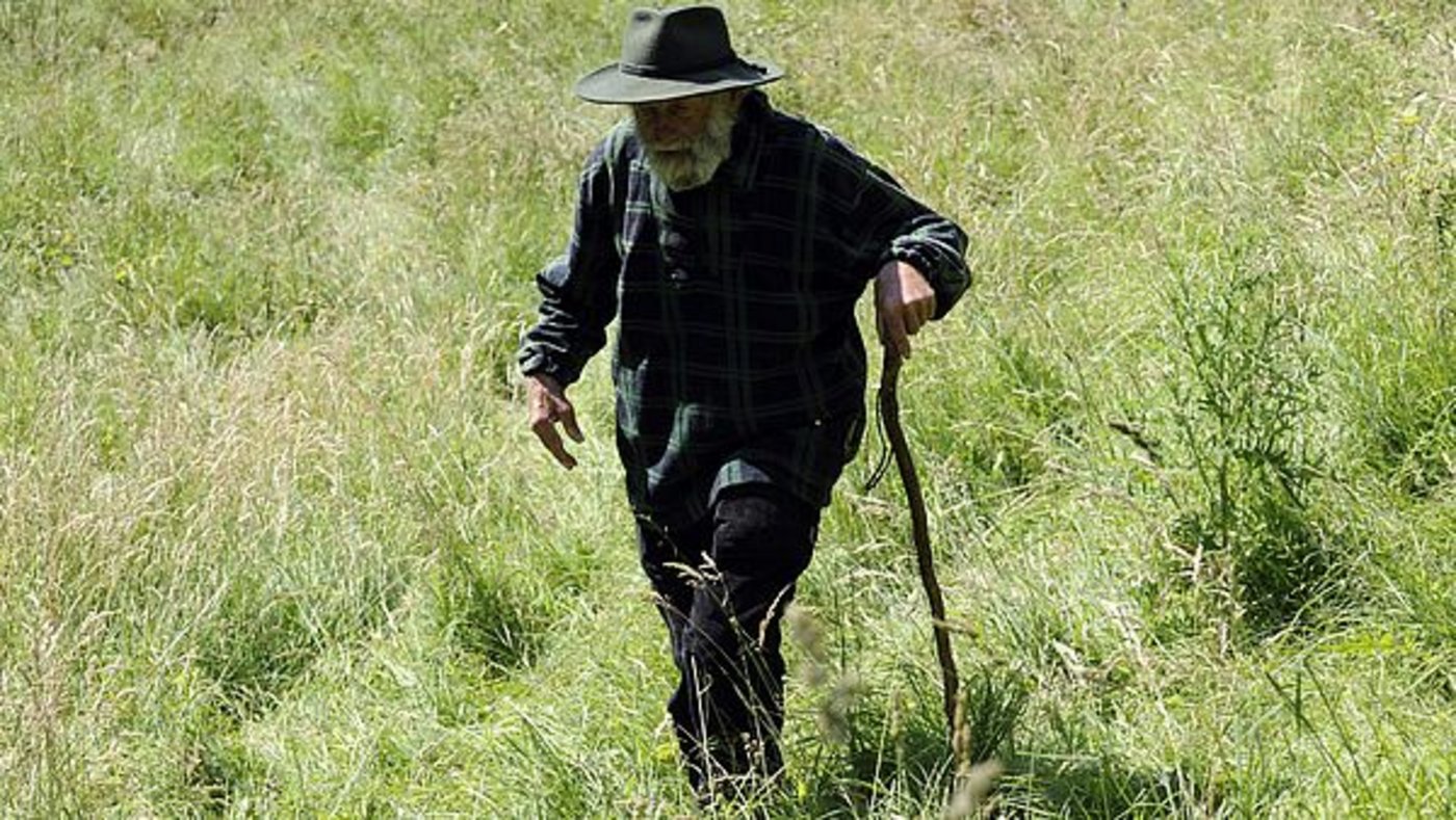 Das Durchschnittsalter der finnischen Landwirte lag nach Angaben des LUKE-Instituts 2019 wie schon im Vorjahr bei 53 Jahren. (Bild agrar-press)