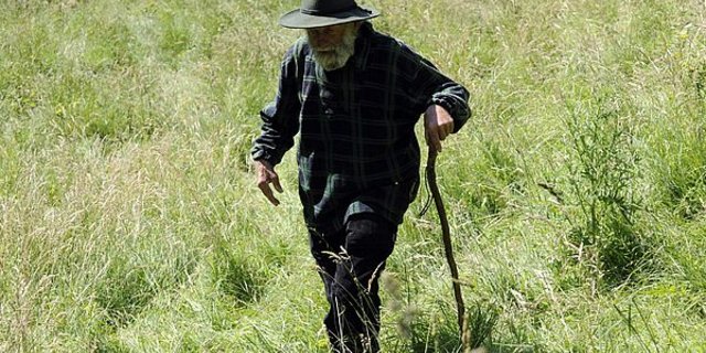 Das Durchschnittsalter der finnischen Landwirte lag nach Angaben des LUKE-Instituts 2019 wie schon im Vorjahr bei 53 Jahren. (Bild agrar-press)