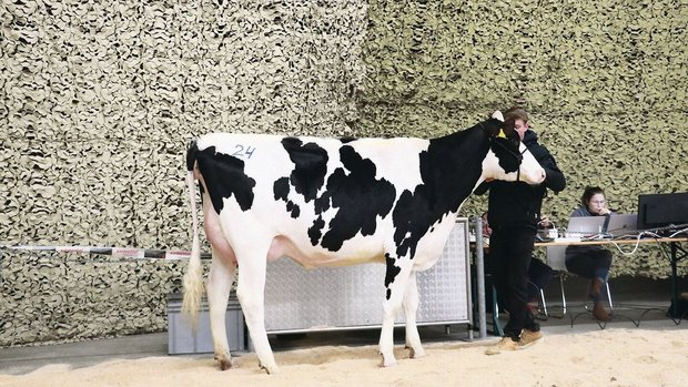 Stefan Käser verkauf Stefan Käser verkaufte etliche Tiere im Elitesegment, seine Kingpin-Tochter Lisa galt 5750 Franken.