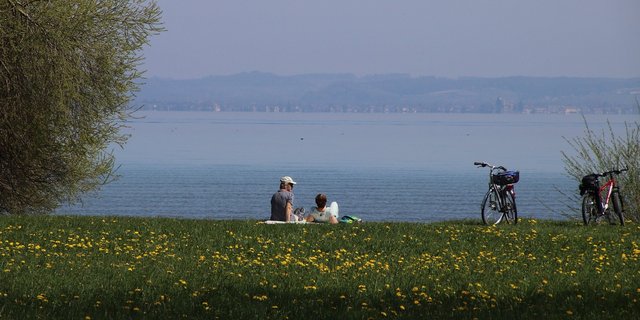 Es ist wichtig, die Natur und Tierwelt zu respektieren und nicht zu stören. (Bild pasja1000/pixabay)