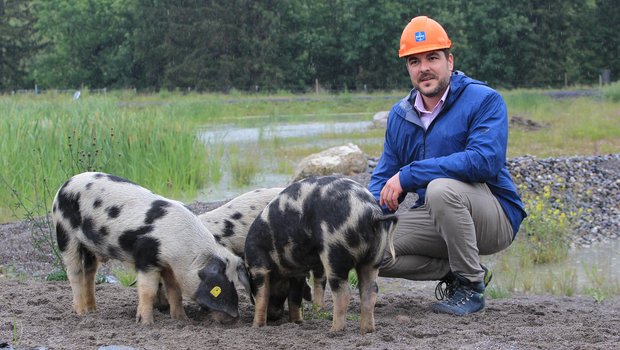 Baudirektor Florian Weber ist von den drei Turopolje-Schweine höchst angetan, die im ehemaligen Schlammweiher der Kibag AG in Edlibach als Naturschützer im Einsatz sind. (Bild zg.ch)
