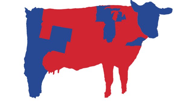 Wie die politische Landschaft der USA aussehen würde, wenn sie die Form einer Kuh hätten. Blau steht für Gebiete mit demokratischer Mehrheit, die roten Gebiete haben republikanische Mehrheiten. (Grafik Karl Sharro/Twitter) 