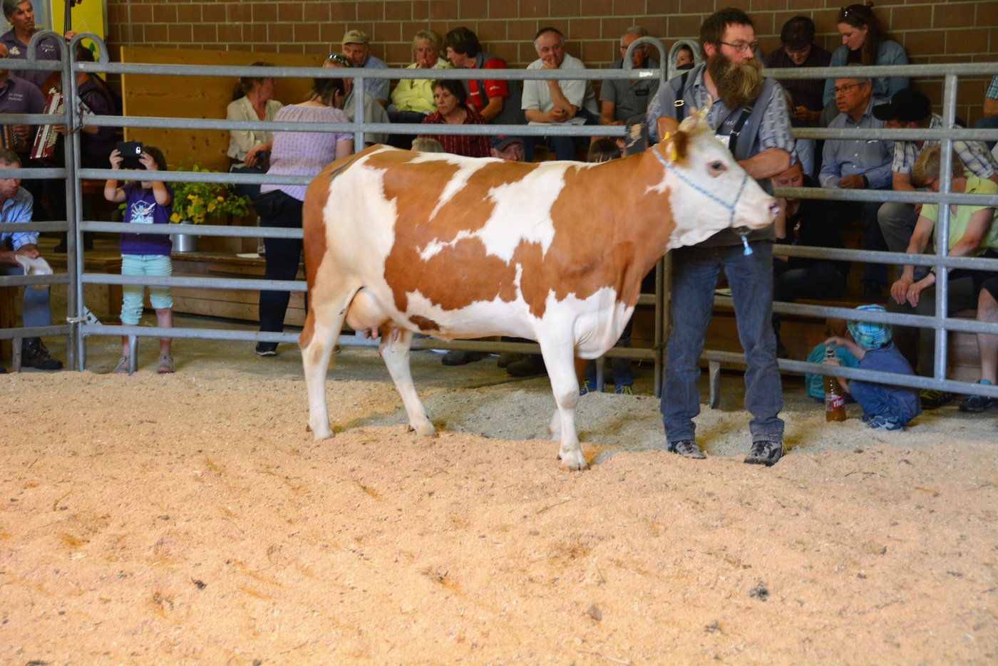 Miss Hinterwälder und Schöneuter wurde Arni aus dem Stall von Silvia Rohrer, Melchtal OW.