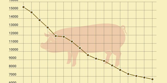Immer weniger Schweinehalter in der Schweiz, aber die Anzahl Tiere bleibt in etwa konstant. (Grafik lid)