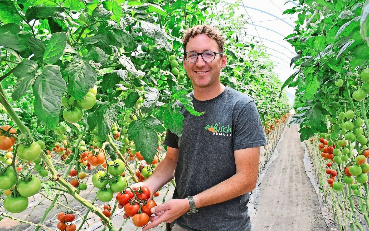 Armin Risch führt den Familienbetrieb in vierter Generation. Neben seiner Tätigkeit auf dem Hof engagiert sich Armin Risch als Präsident der Gemüsebauvereinigung Rheintal. 