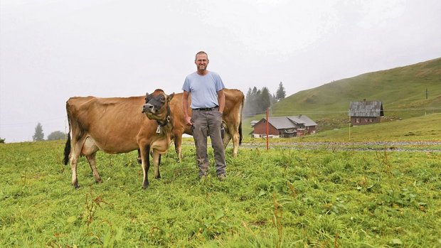  Othmar Schelbert konnte zur Freude seiner Kühe in den vergangenen Jahren den Grasbestand auf der Alp verbessern 