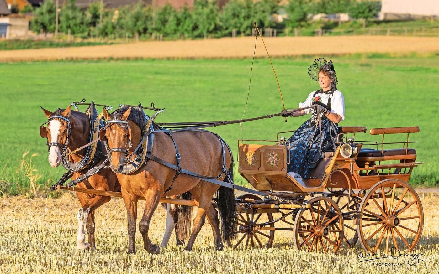 Die Zügel fest in der Hand und stilecht zum fahrbaren Untersatz bekleidet – so tankt Pia Spiegl Kraft.   