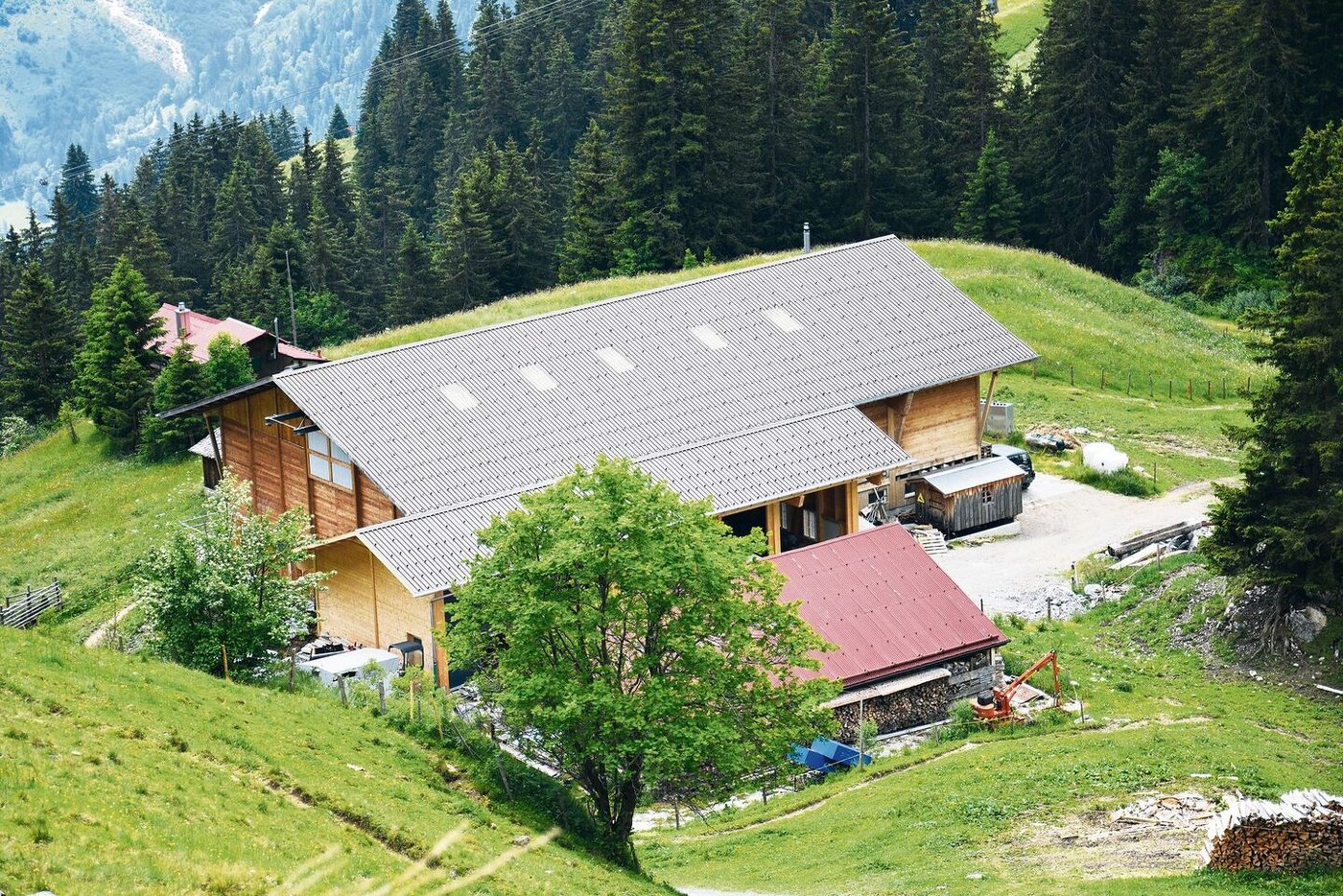 Der neue Stall im Sömmerungsgebiet war eine Investition, die aber viele Arbeiten erleichtert.