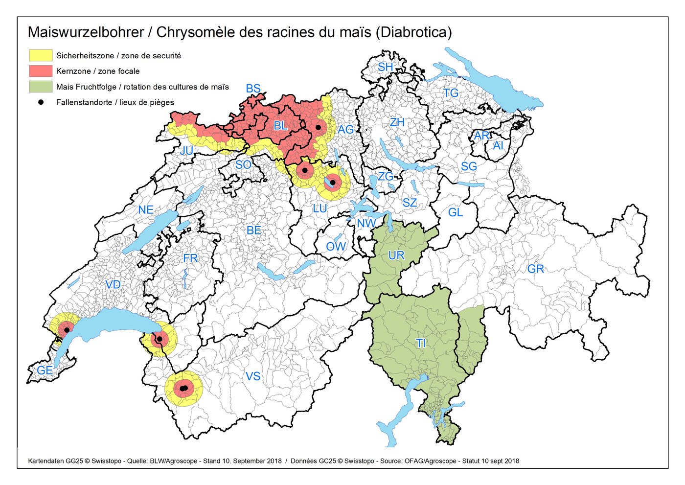 Wird ein Käfer in einer Pheromonfalle gefangen, werden eine Kernzone (rot) und eine Sicherheitszone (gelb) um den Fangpunkt definiert. Darin müssen Vorschriften eingehalten werden, um die Verbreitung des Maiswurzelbohrers zu verhindern. (Karte: Agroscope)