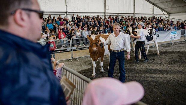 Volle Tribünen, meis Volle Tribünen, meist sind es Nicht-Züchtende. Die Tiervorführungen samt publikumsgerechter Kommentierung in der Arena sind bei Luga-Besuchenden sehr beliebt.
