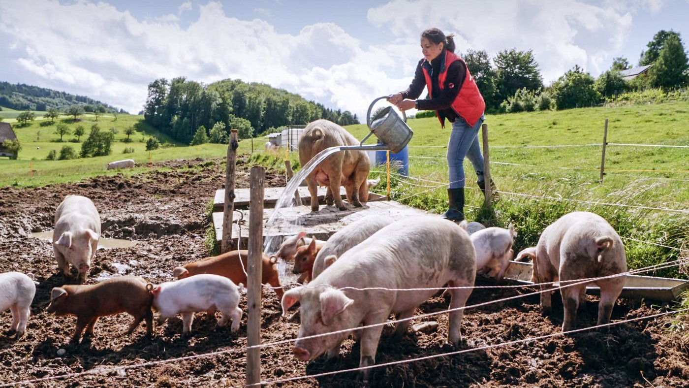 Fairer Handel ist heute längst nicht Standard. (Bild Film Fair Traders)