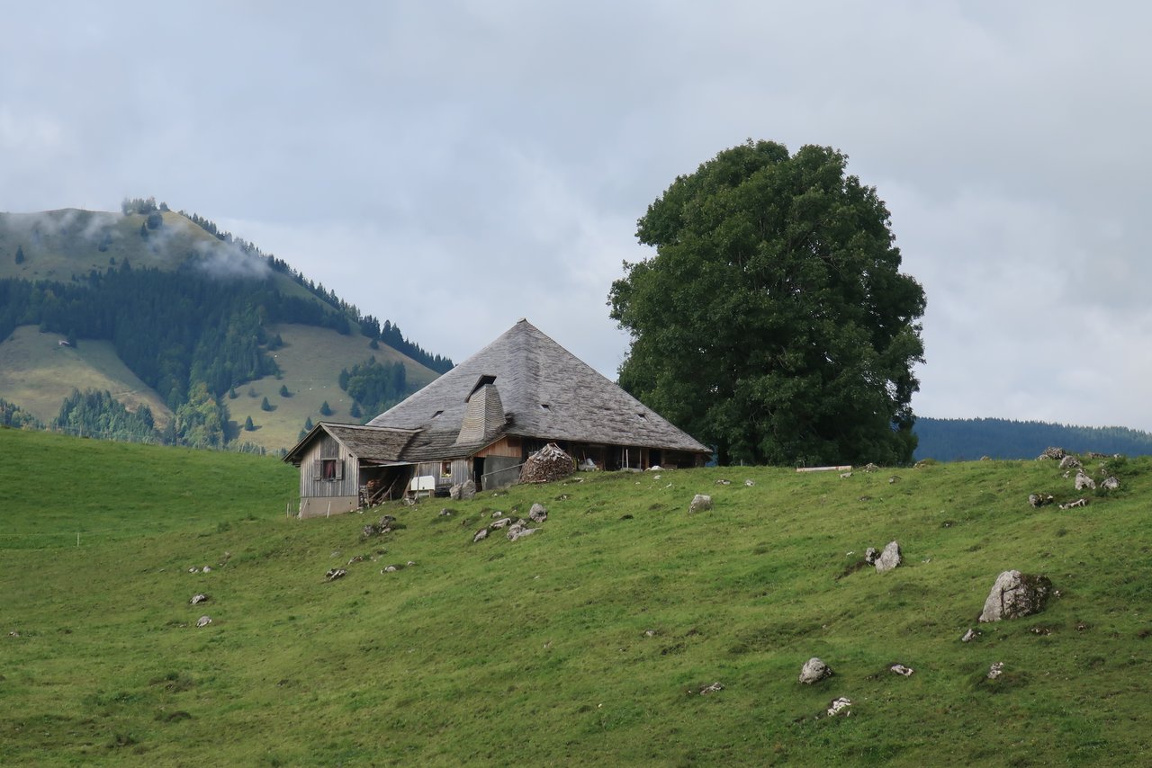 Der Fond setzt sich für die Erhaltung von Kulturerbe ein: hier eine geschindelte Alpwirtschaft in Gruyères FR (Bild Fonds Landschaft Schweiz)