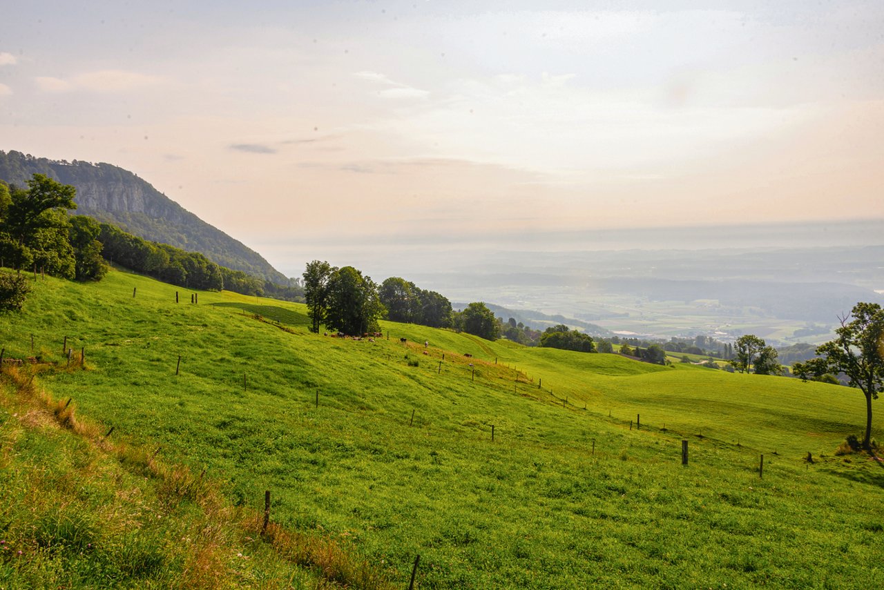 Der Panoramablick vom oberaargauischen Rumisberg über das Mittelland.(Bild Hansjürg Jäger)
