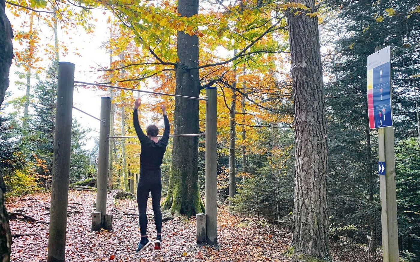 Der Wald ist für viele Leute ein kostenloser Erholungsraum. Die Pflege ist aber aufwendig; dafür sollen die Nutzniesser künftig mehr zur Kasse gebeten werden. 