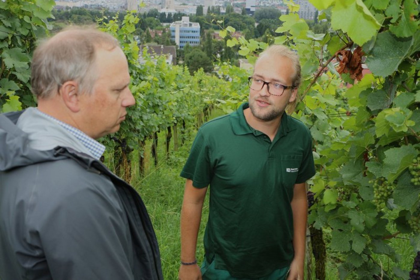 Winzer Nando Oberli (r.) im Gespräch mit Reto Mohr von Grün Stadt Zürich. Oberli pflegt die Reben des Chillesteig in Höngg bis zur Weinlese. In den nächsten 5 bis 6 Jahren wird der Rebberg auf biologischen Rebbau umgestellt. (Bilder Manuel Fischer)