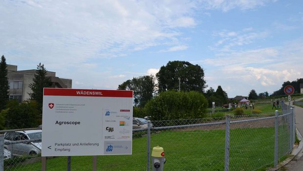 Die Besucherinnen und Besucher wurden über die Versuchsparzellen mit Blick auf den Zürichsee geführt. (Bild jsc)