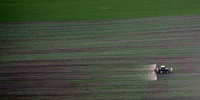 Die Knospe-Organisation fordert unter anderem Lenkungsabgaben auf Pestizide. (Bild Cécile Brabant/landwirtschaft.ch)